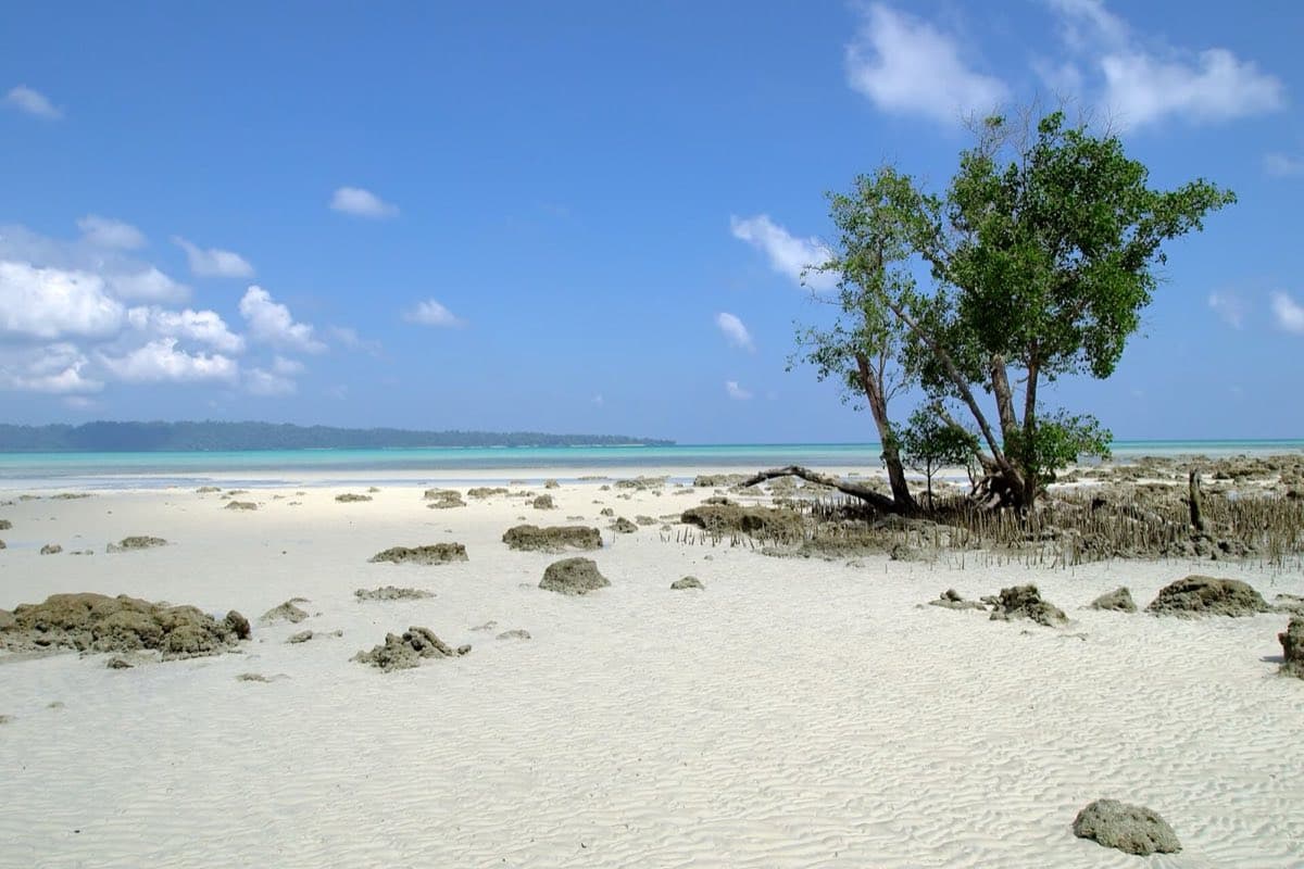 Andaman & Nicobar