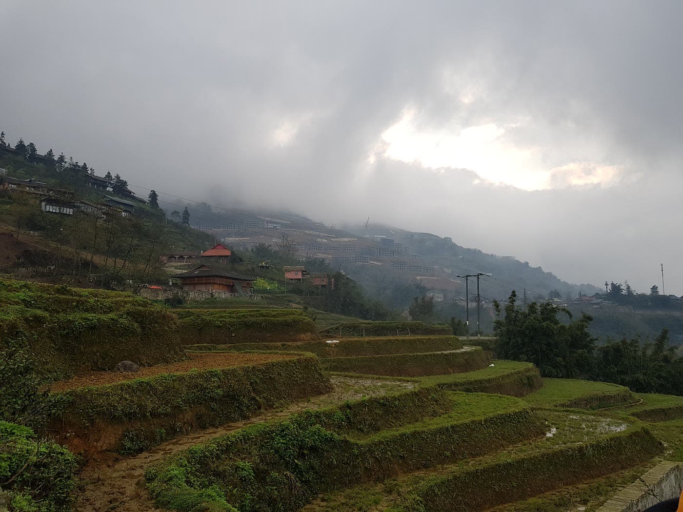 Sapa