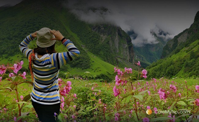 Valley of Flowers and Ghangaria Base Camp Trek - 04 Nights 05 Days