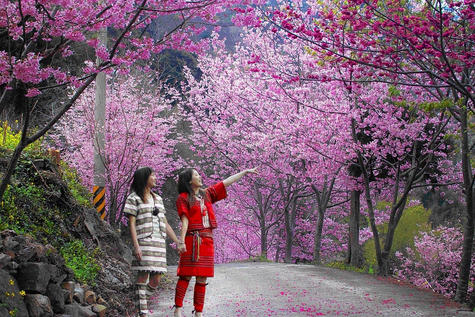 Kaziranga National Park (2N), Shillong (2N), Guwahati (1N)