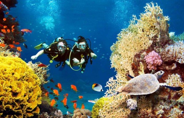 PARADISE ON CORAL REEF 03N04D