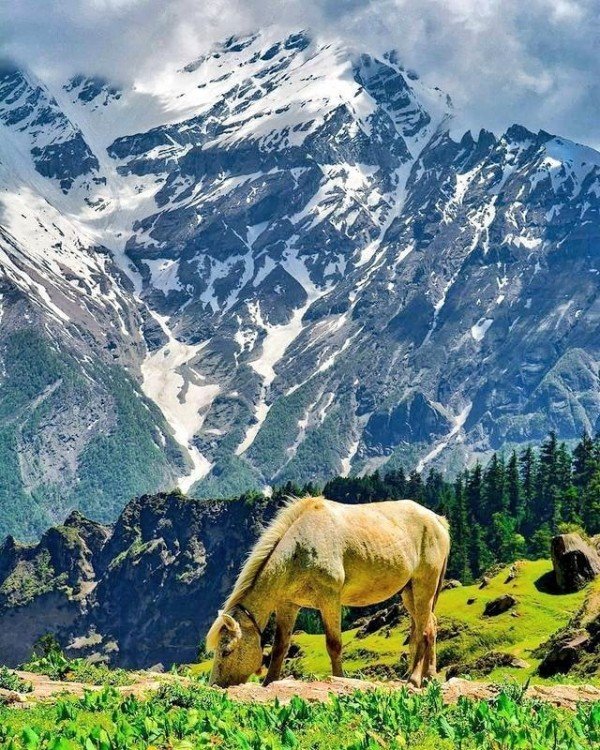 Peaceful Kumaon	Nainital (2)- Kausani (1) –Munsiyari(2) –Almora (1) – Corbett (1)