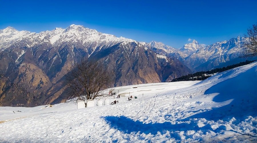 Auli