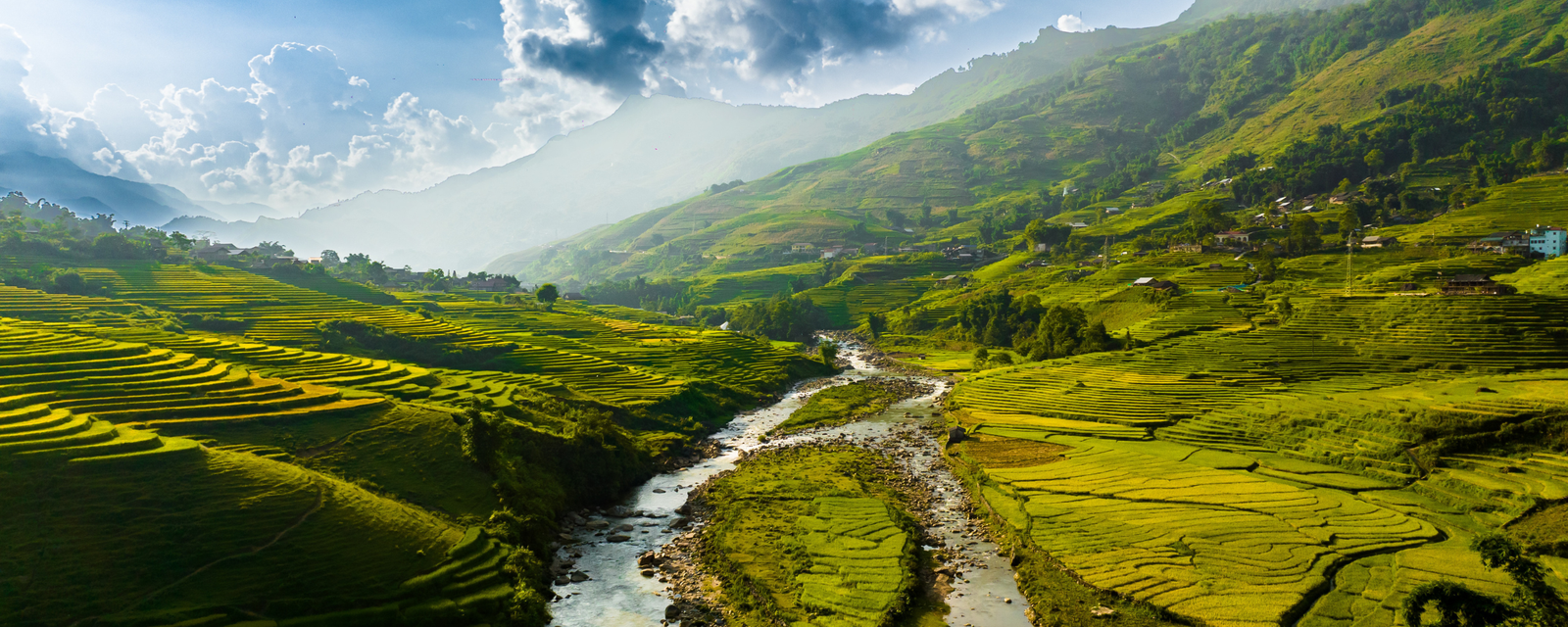 Sapa