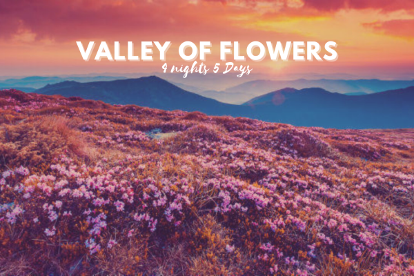 Valley of Flowers 4Nights 5Days